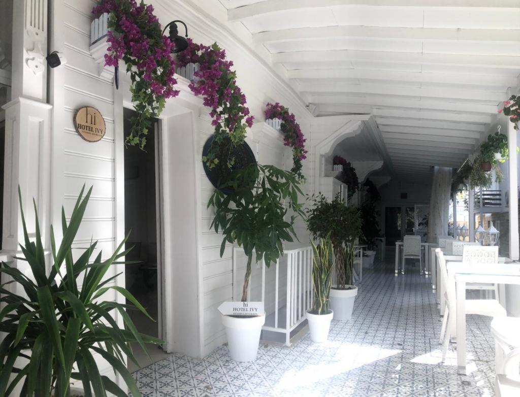 Hi Hotel Ivy Bueyuekada Adalar Exterior photo